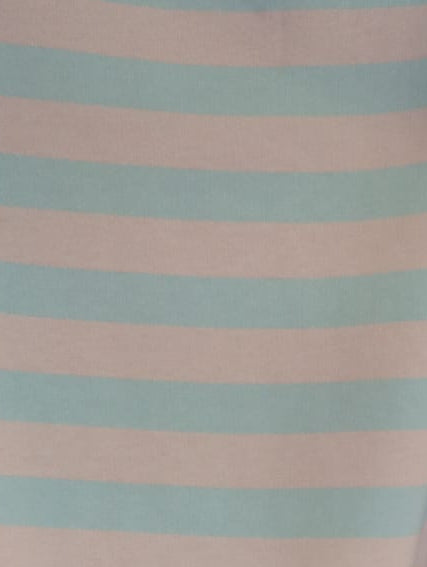 Dakota Blue Stripe Top