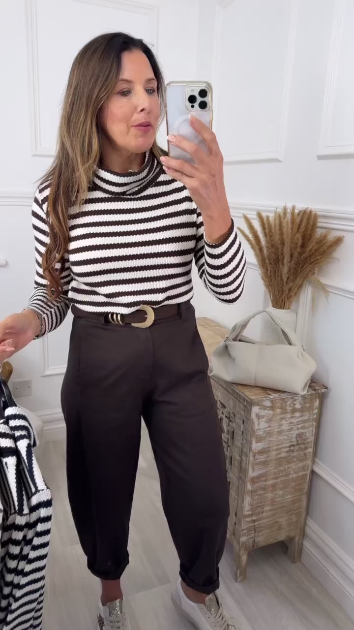 Saskia Brown Striped Roll Neck Top