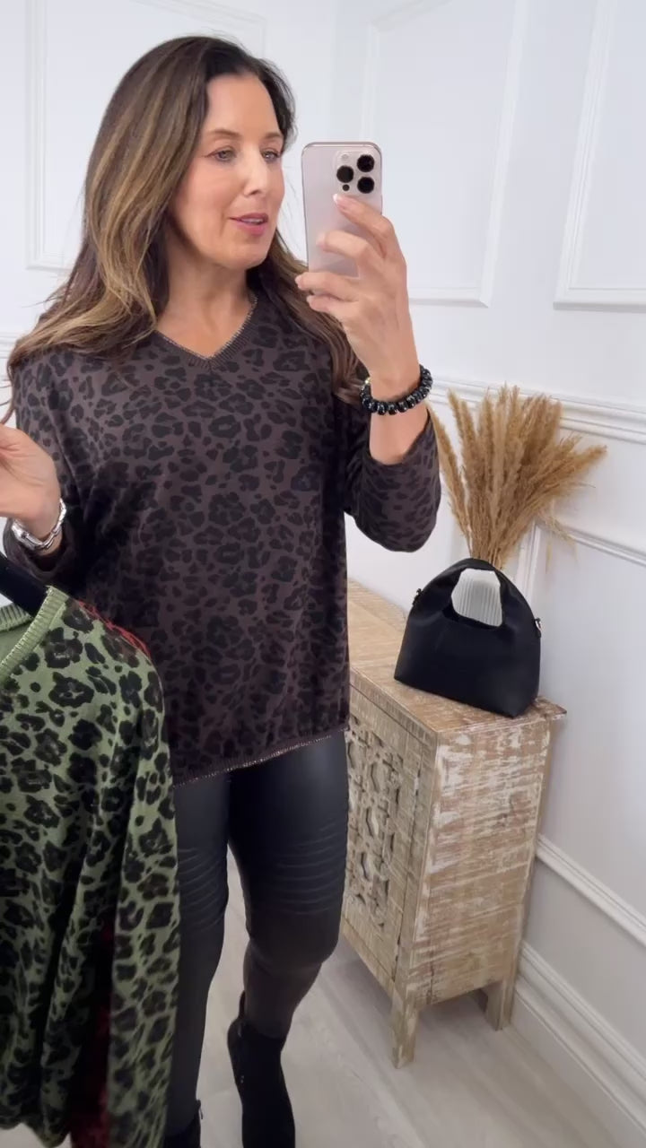 Maureen Brown Leopard V Neck Knit Top