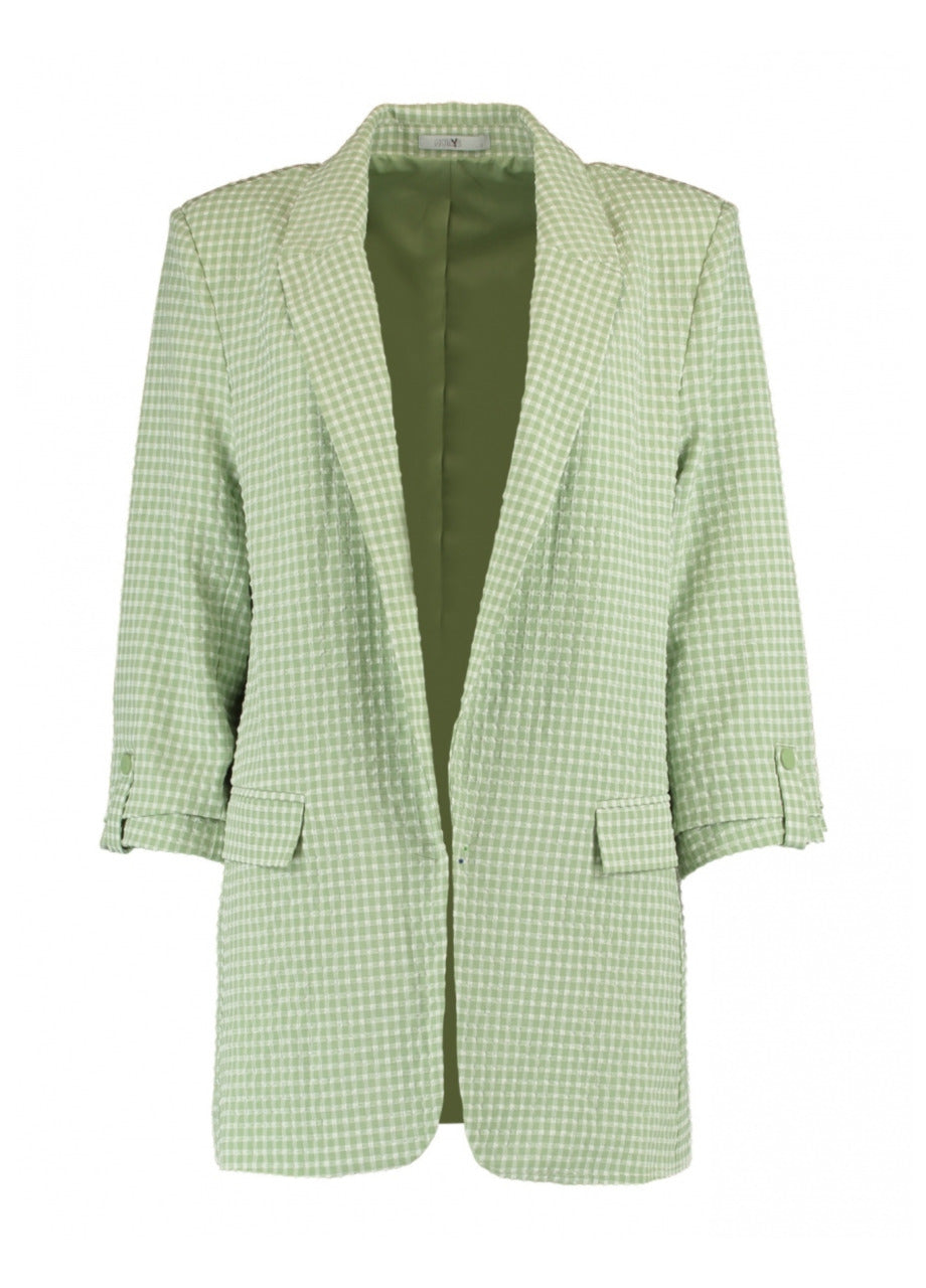 Lenia Green Gingham Print Blazer
