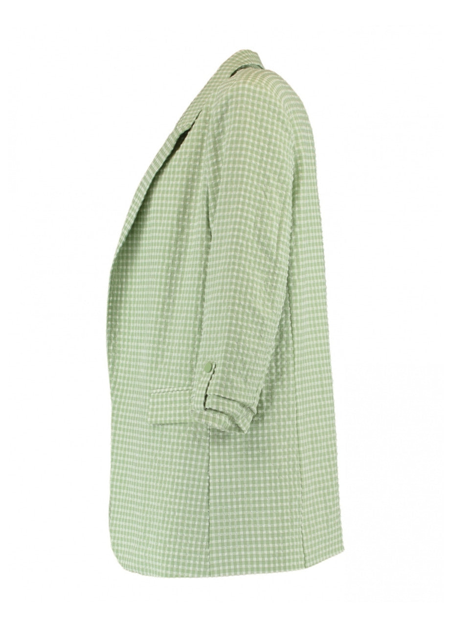 Lenia Green Gingham Print Blazer