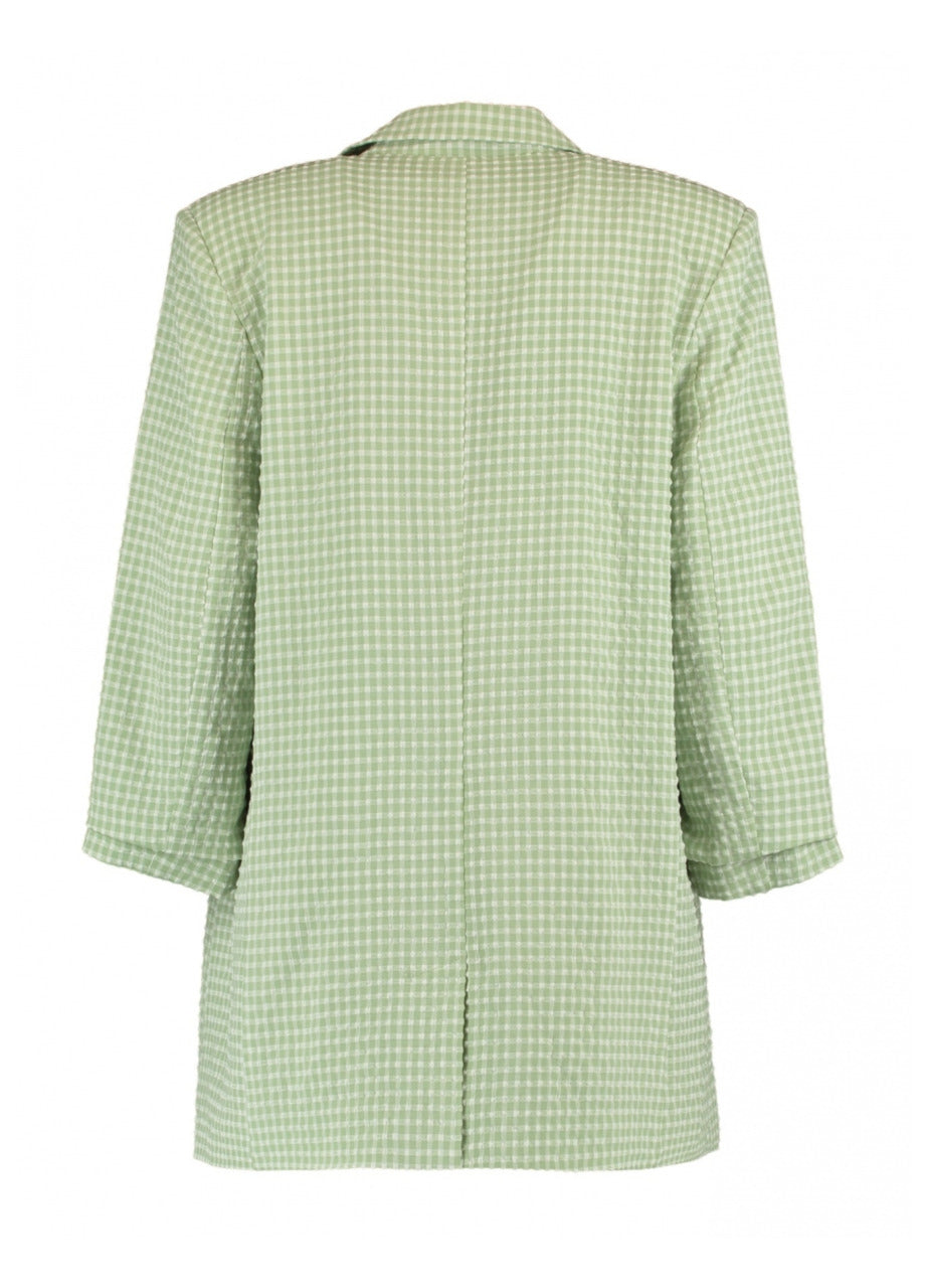 Lenia Green Gingham Print Blazer