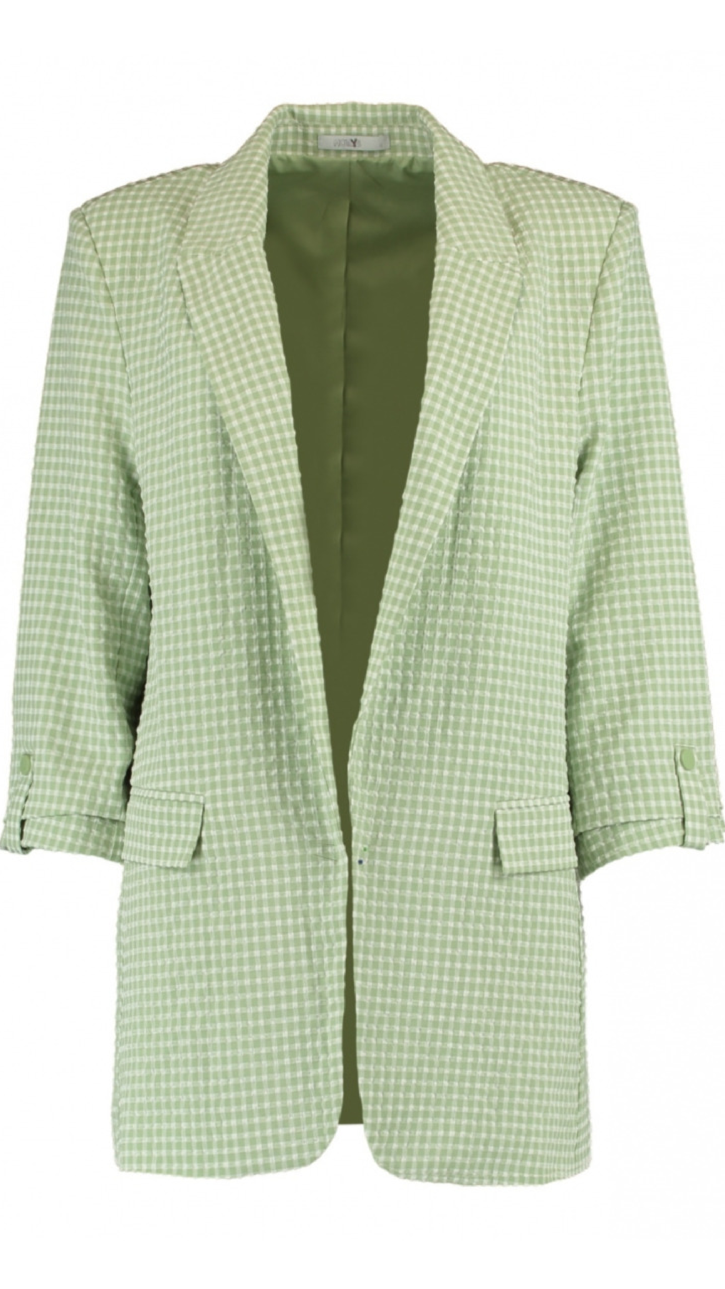 Lenia Green Gingham Print Blazer