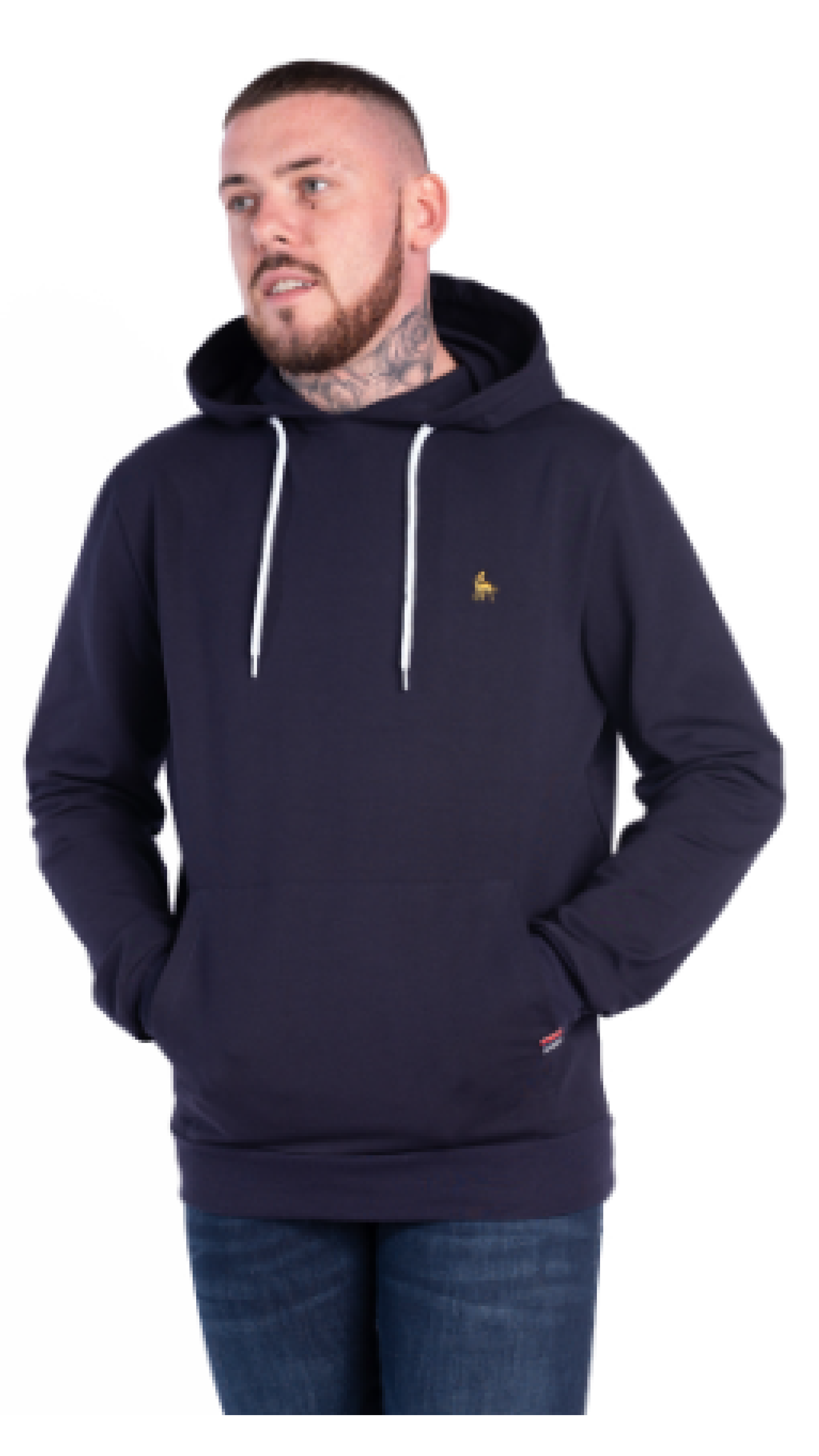 Tyson Parliament Blue Overhead Hoodie